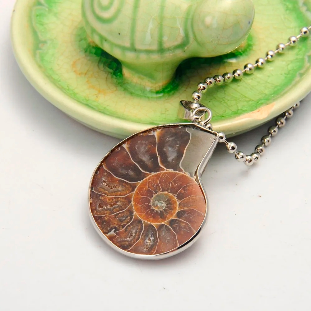 2017 Hot New Natural Healing Ammonite  Madagascar Gem Stone Pendant Necklace For Women And Men Conch Chrysanthemum Jewelry