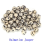 Dalmation Jasper